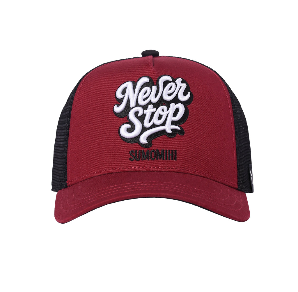 NEVER STOP TRUCKER image 0