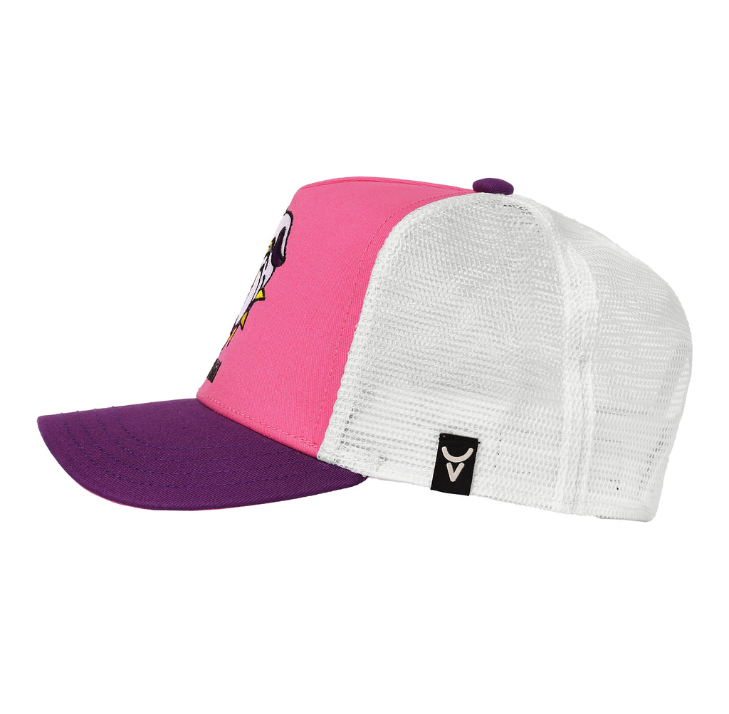 BULLY TRUCKER image 2