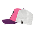 BULLY TRUCKER image 2