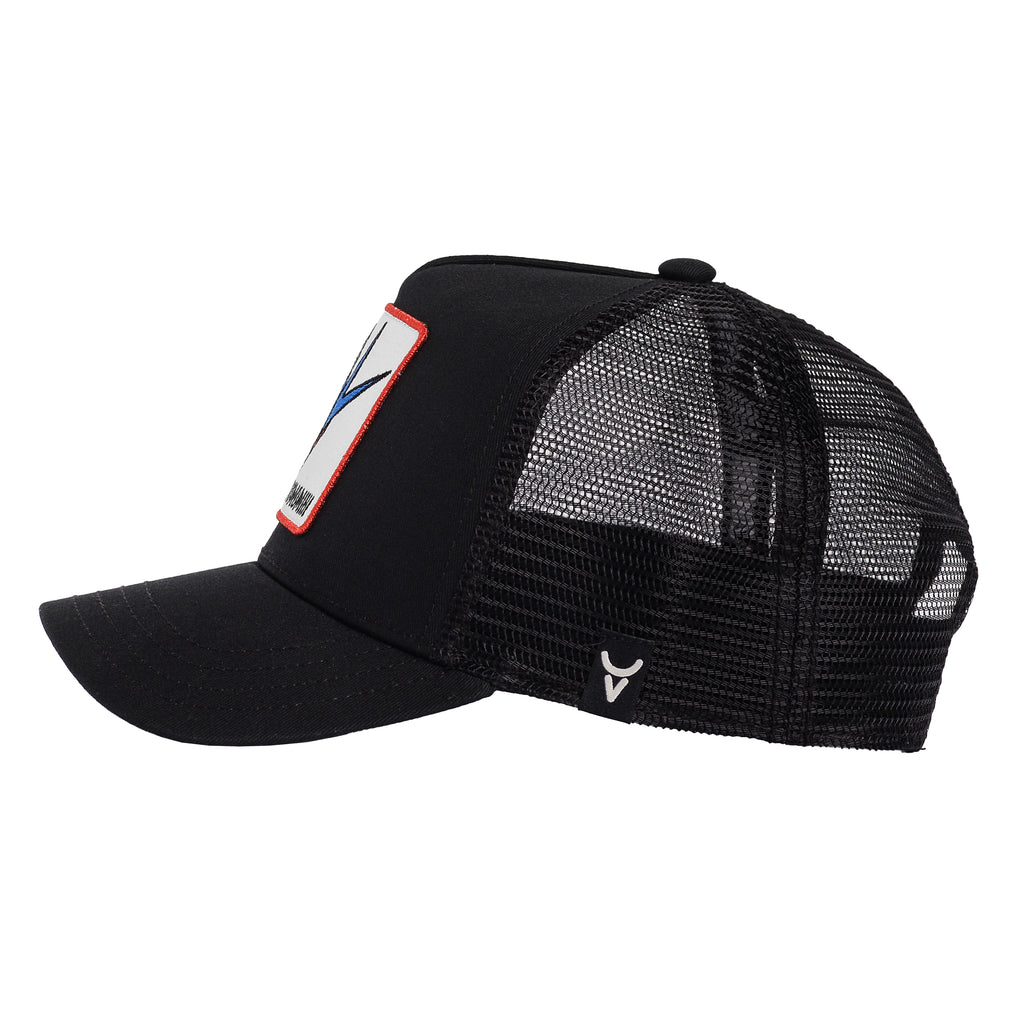 SWALLOW TRUCKER image 2