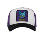 ALCHEMIC TRUCKER image 0