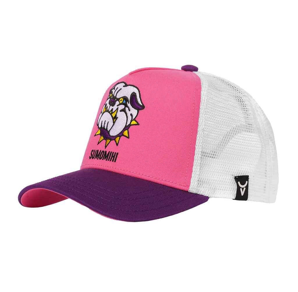 BULLY TRUCKER image 1