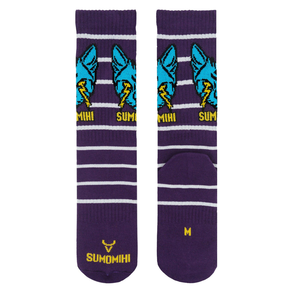 ALCHEMIC SOCK