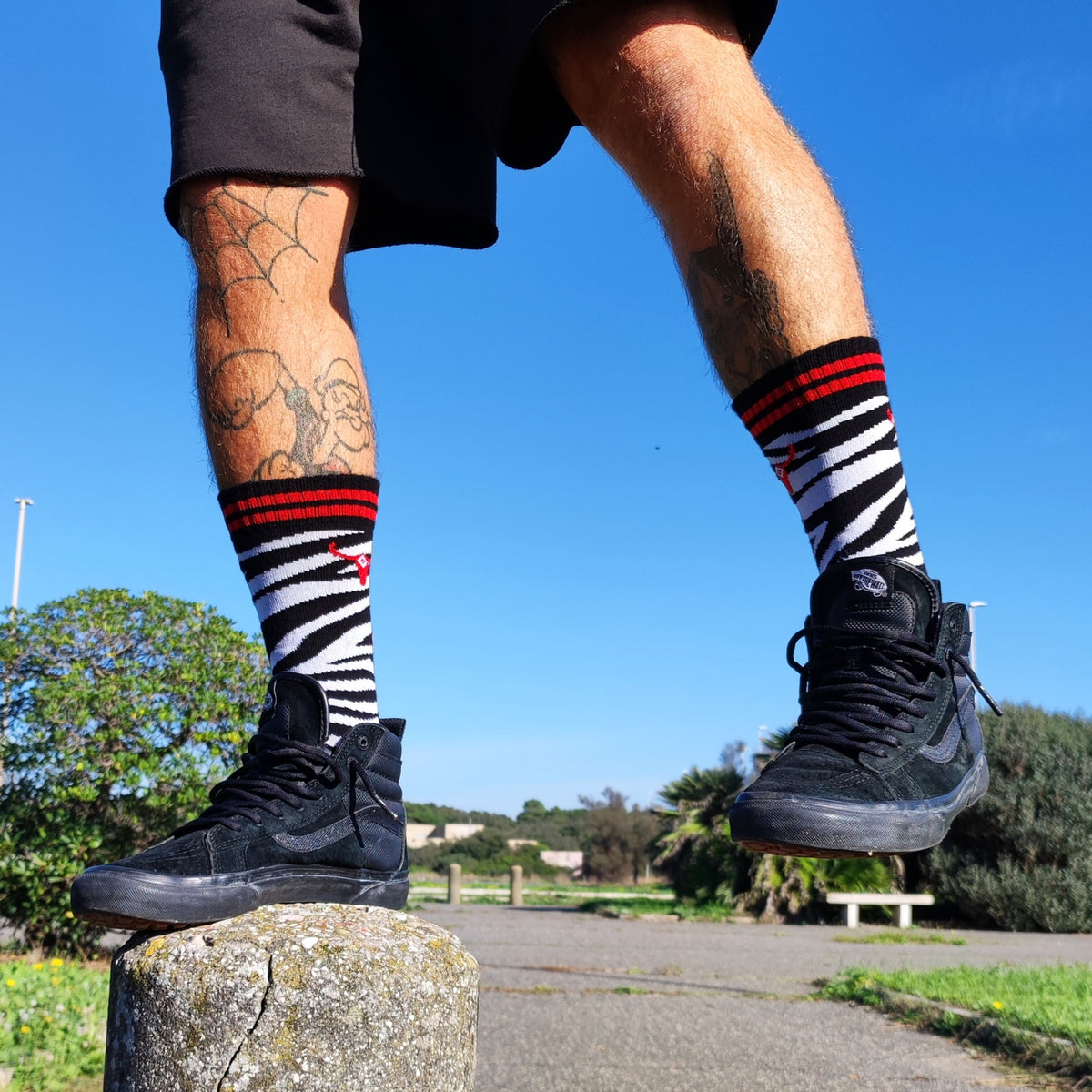 ZEBRA SOCK image 2